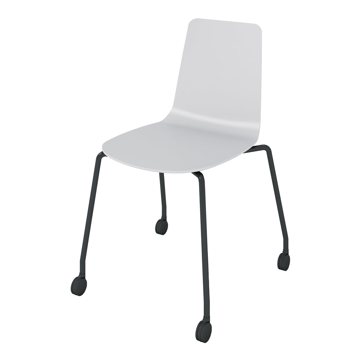 背座ライトグレー