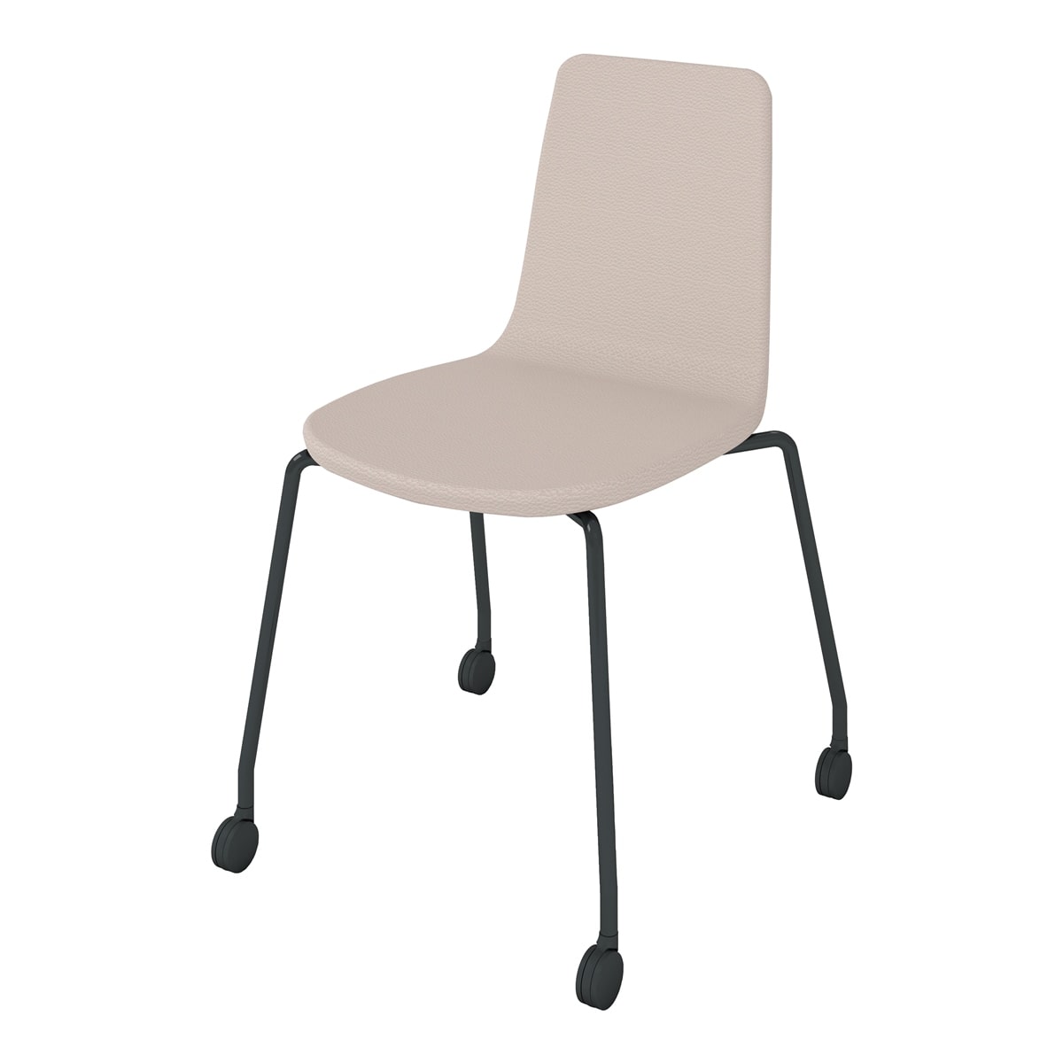 背座ブライトグレー