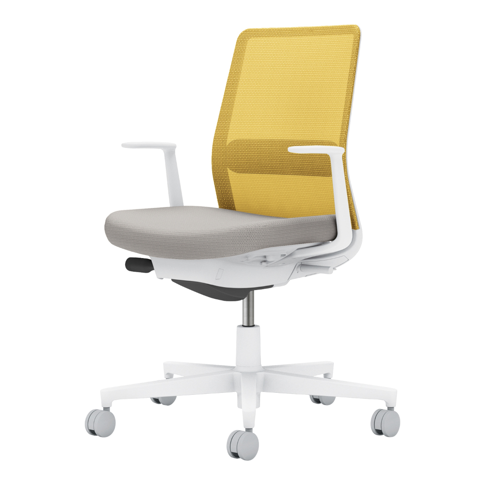 背・ランバー：オリーブイエロー／座：ライトグレー