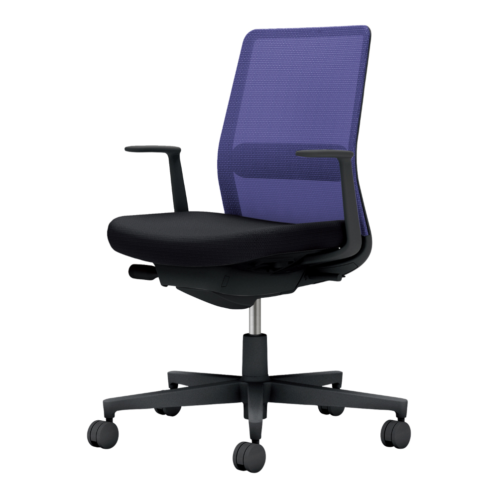 背・ランバー：ディープパープル／座：ブラック