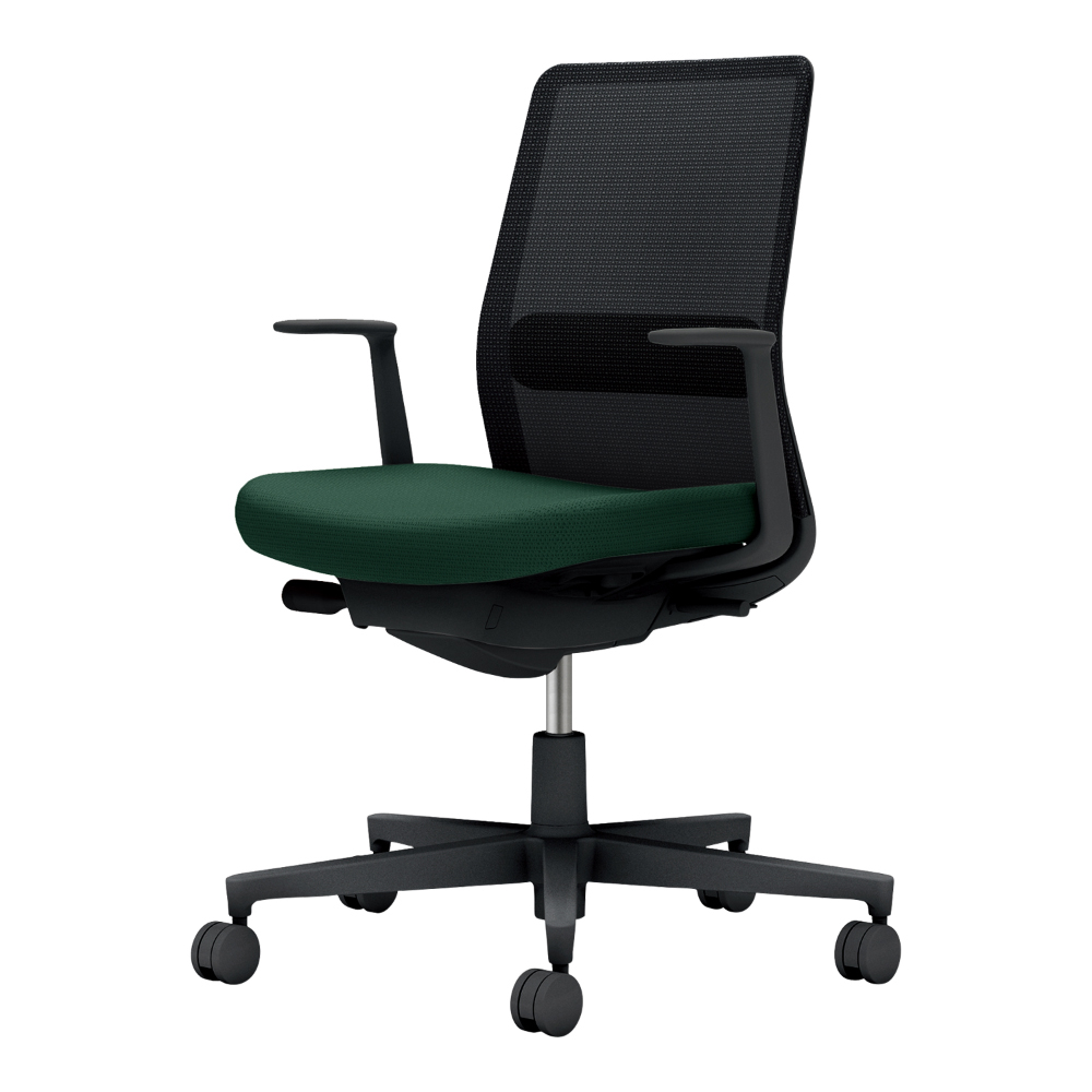 背：ブラック／座・ランバー： ディープグリーン