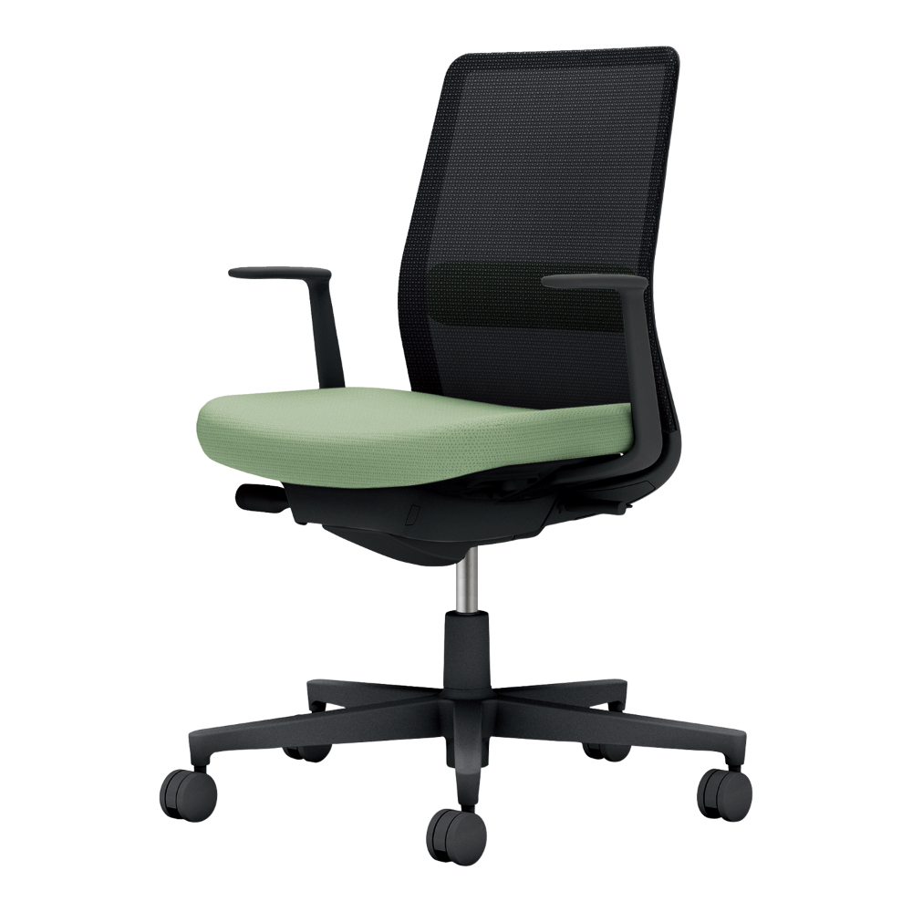 背：ブラック／座・ランバー： パウダーミント