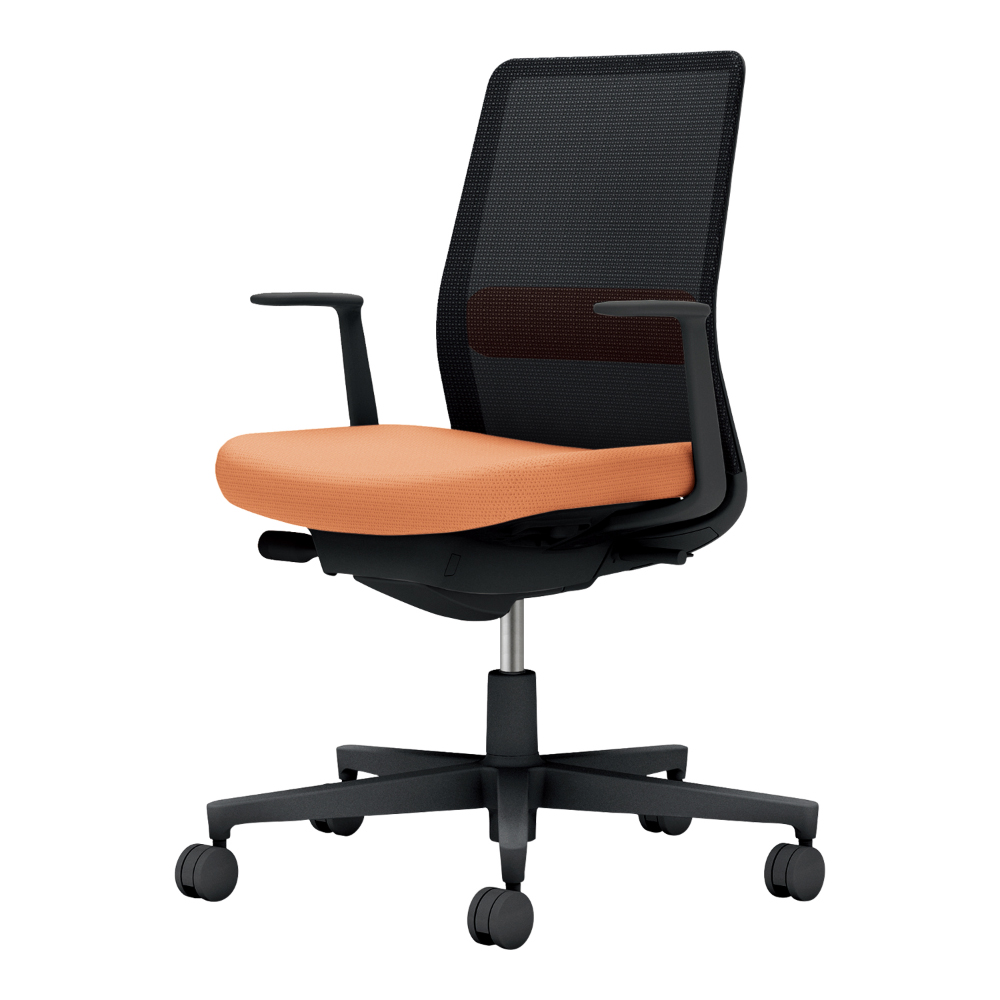 背：ブラック／座・ランバー： ペールテラコッタ