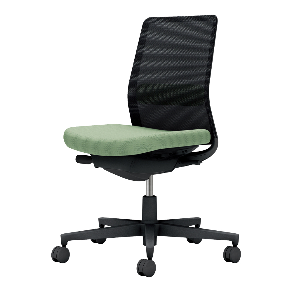 背：ブラック／座・ランバー： パウダーミント