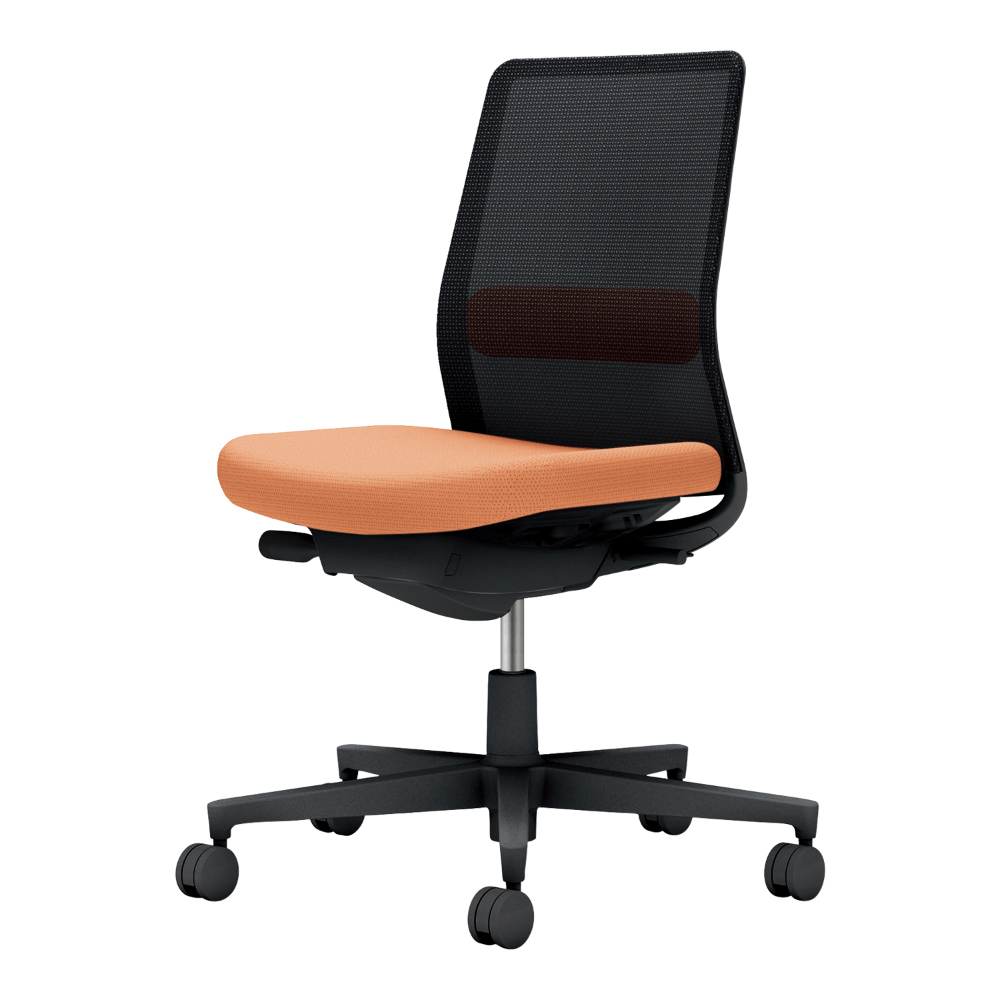 背：ブラック／座・ランバー： ペールテラコッタ