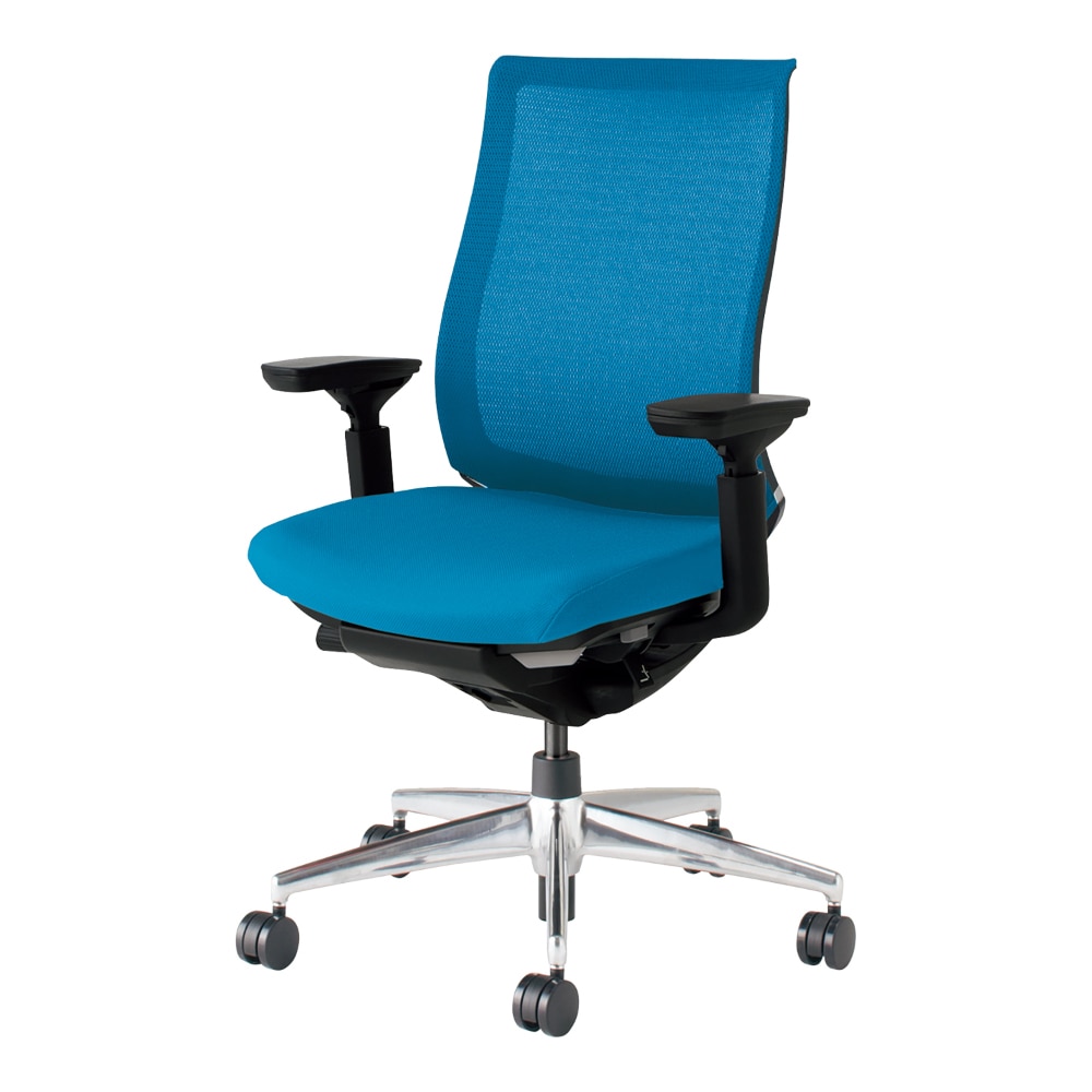 背座同色／ターコイズ