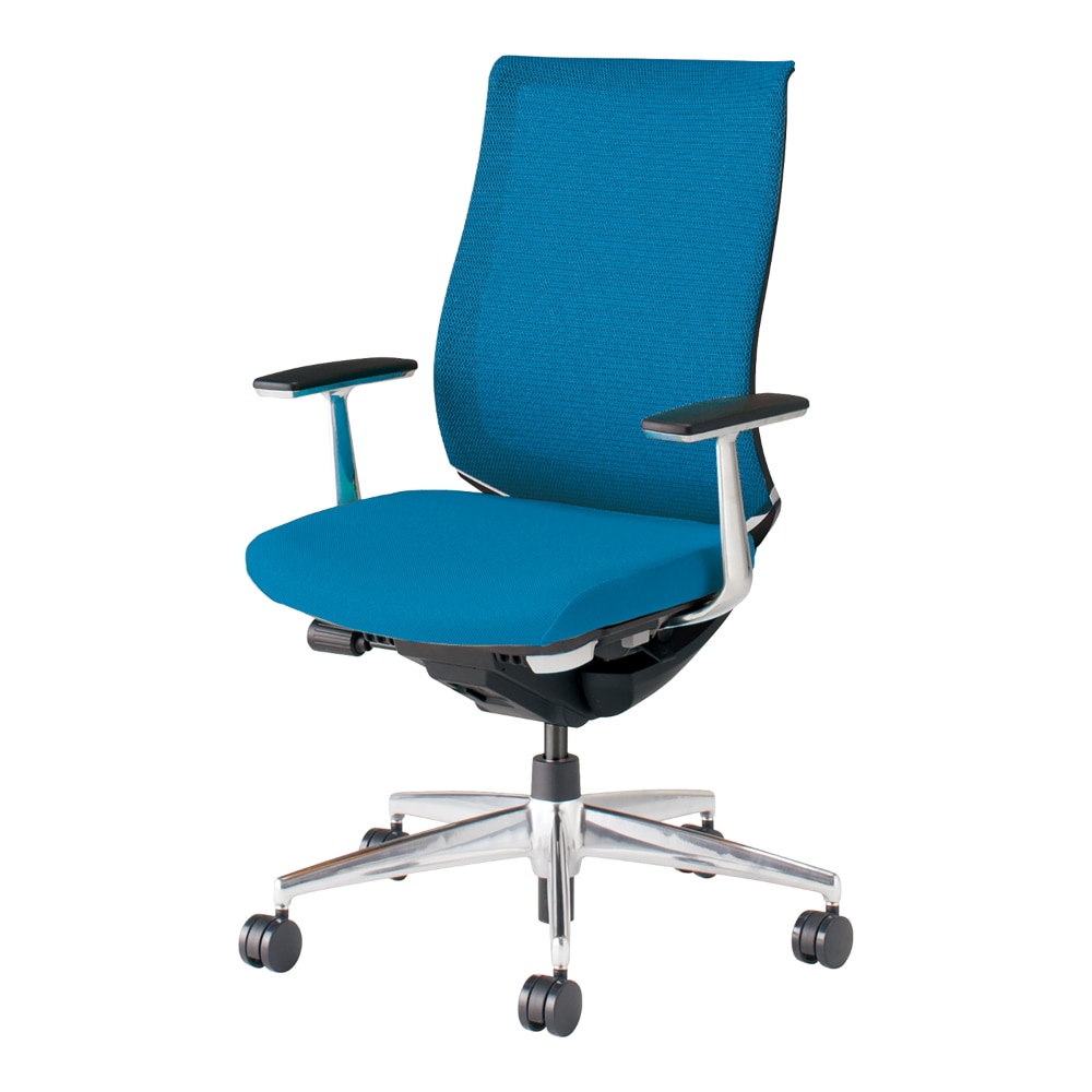 背座同色／ターコイズ