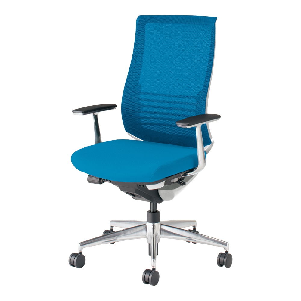 背座同色/ターコイズ