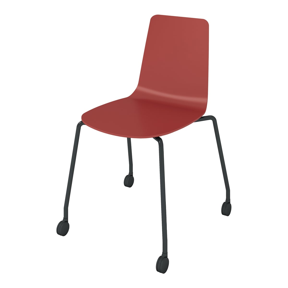 背座パーシアンレッド