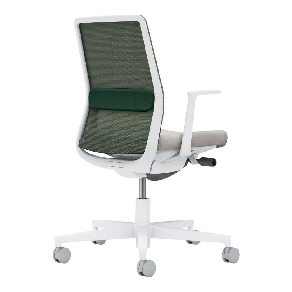 背・ランバー:ディープグリーン/座:ライトグレー