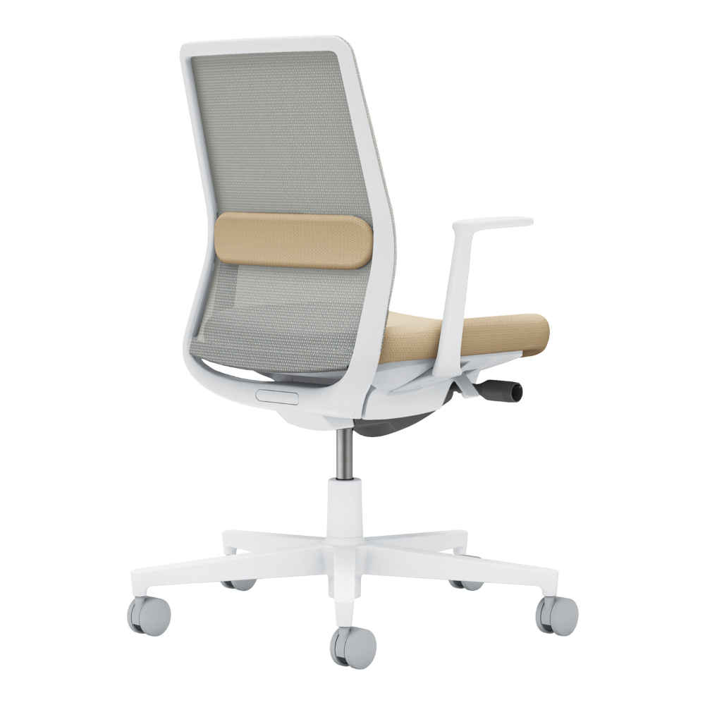 背：ライトグレー／座・ランバー： ソフトベージュ