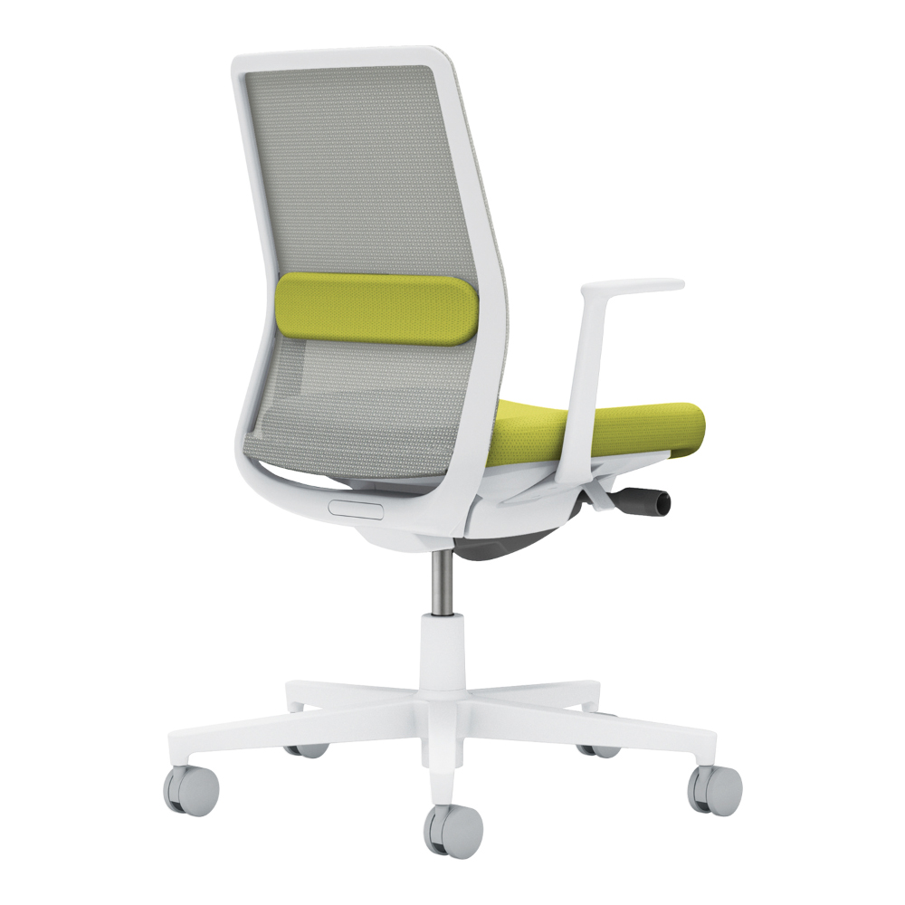 背：ライトグレー／座・ランバー： ライトオリーブ