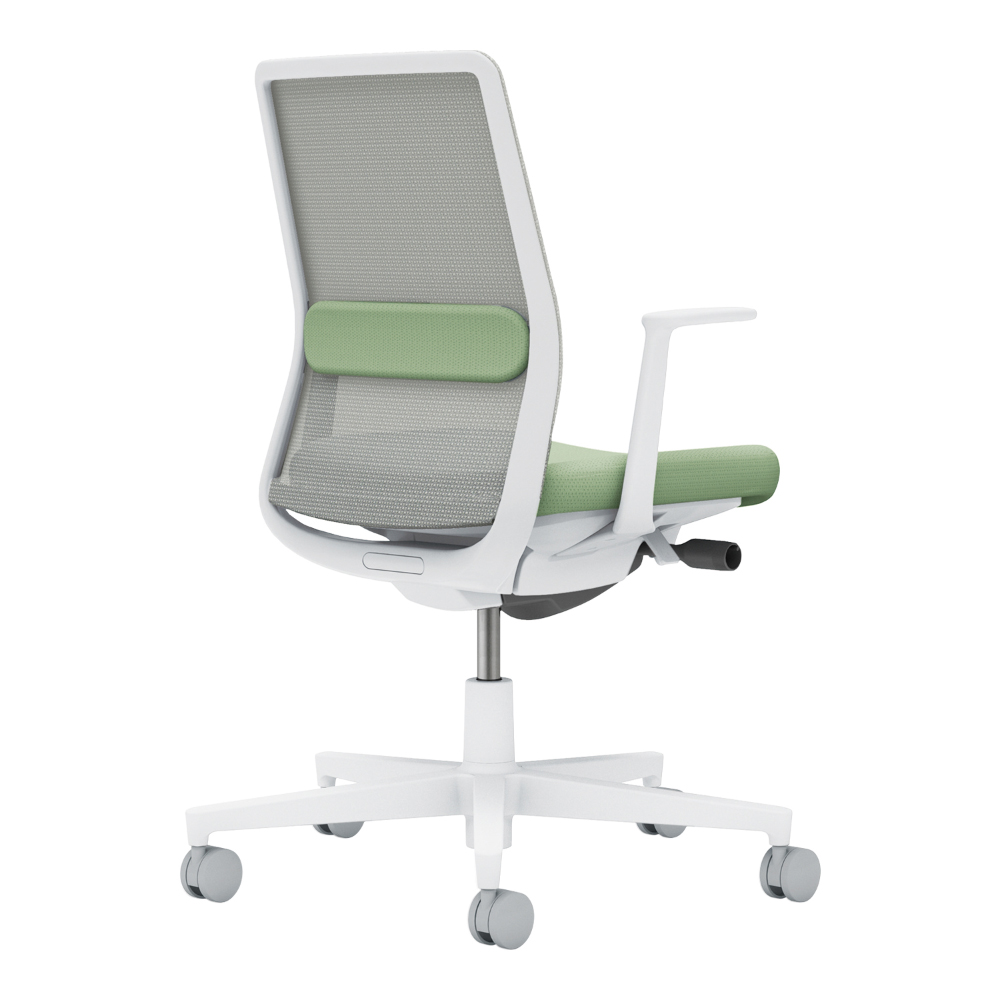 背：ライトグレー／座・ランバー： パウダーミント