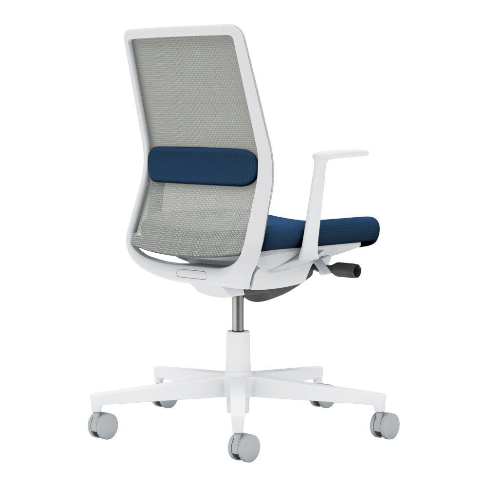 背：ライトグレー／座・ランバー： ネイビー