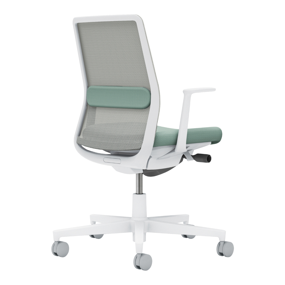 背：ライトグレー／座・ランバー： アッシュターコイズ