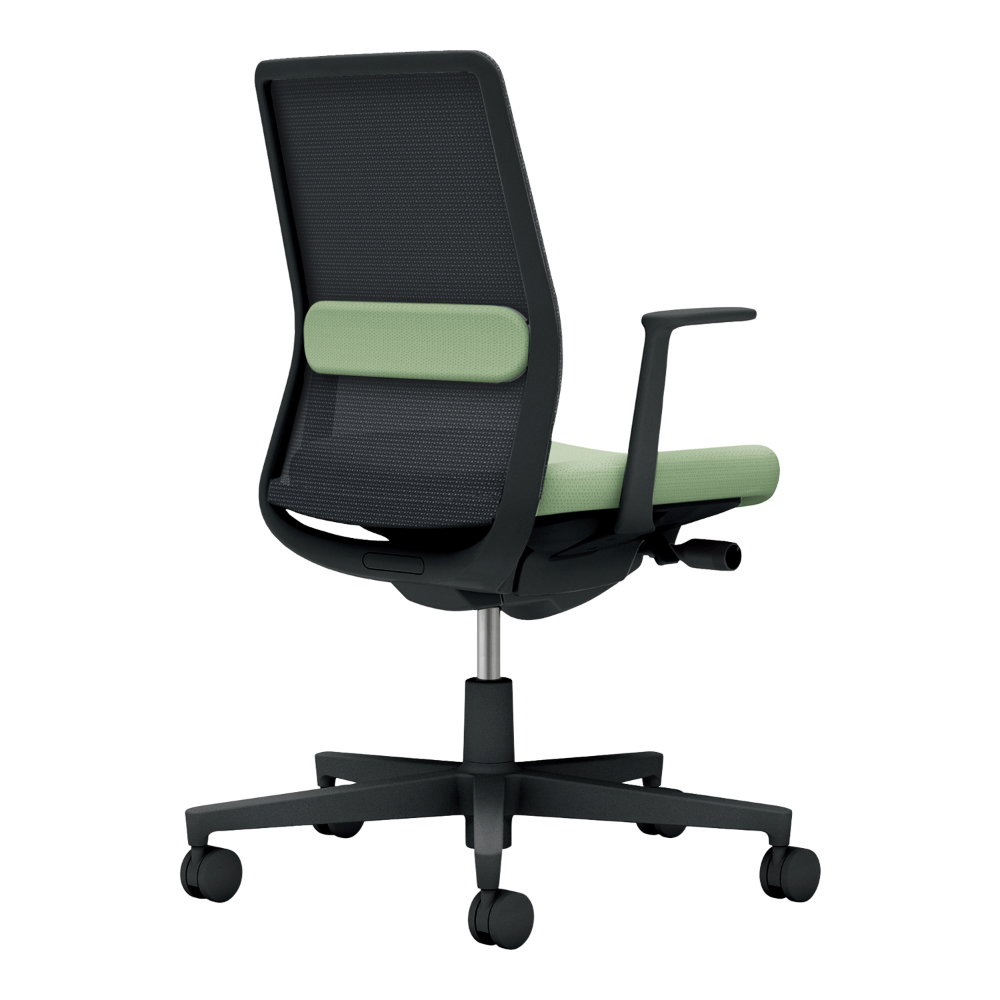 背：ブラック／座・ランバー： パウダーミント