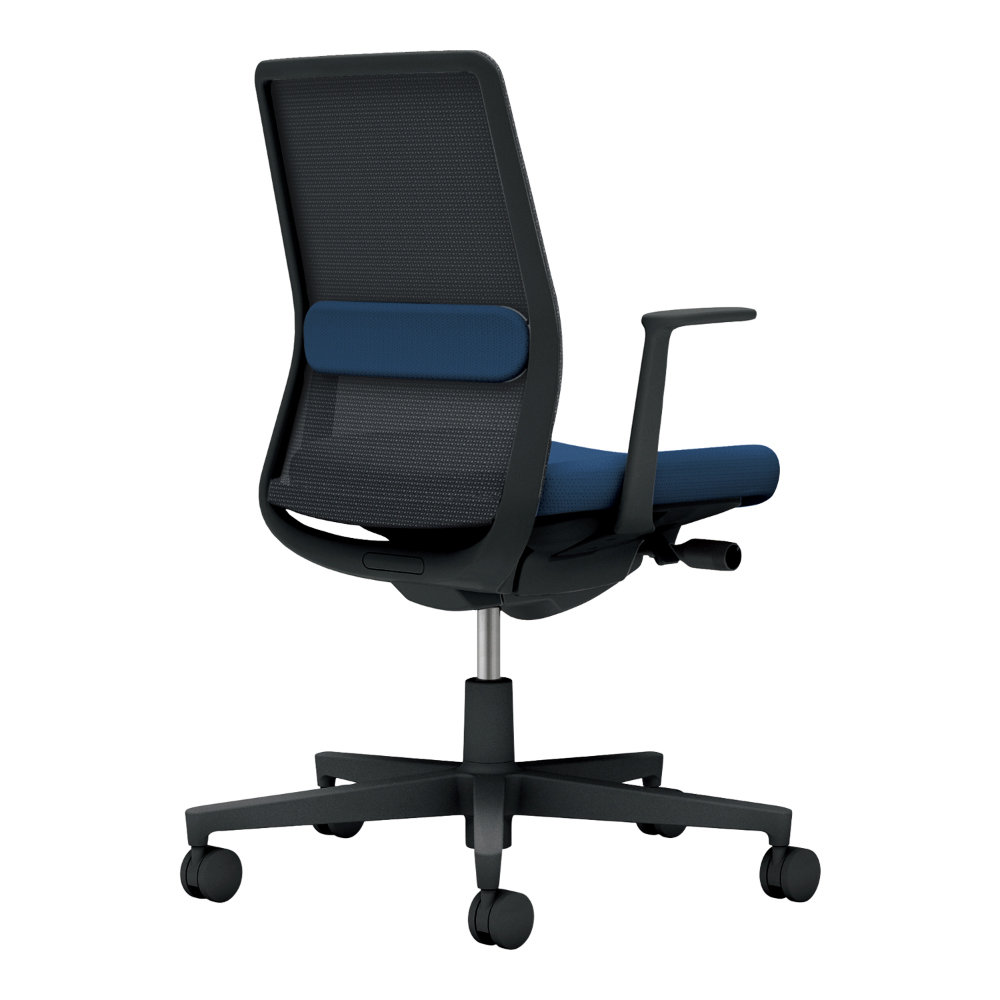 背：ブラック／座・ランバー： ネイビー