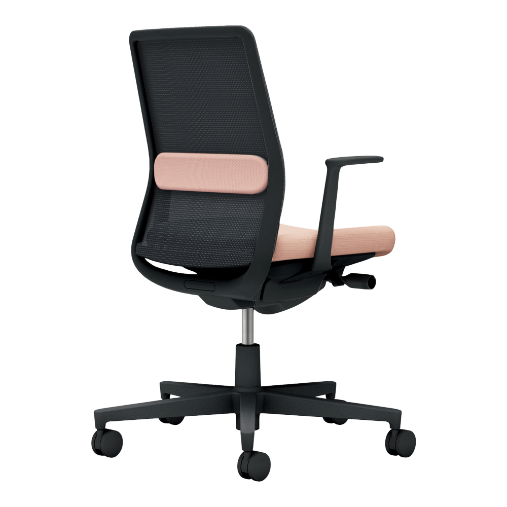 背：ブラック／座・ランバー： アッシュピンク