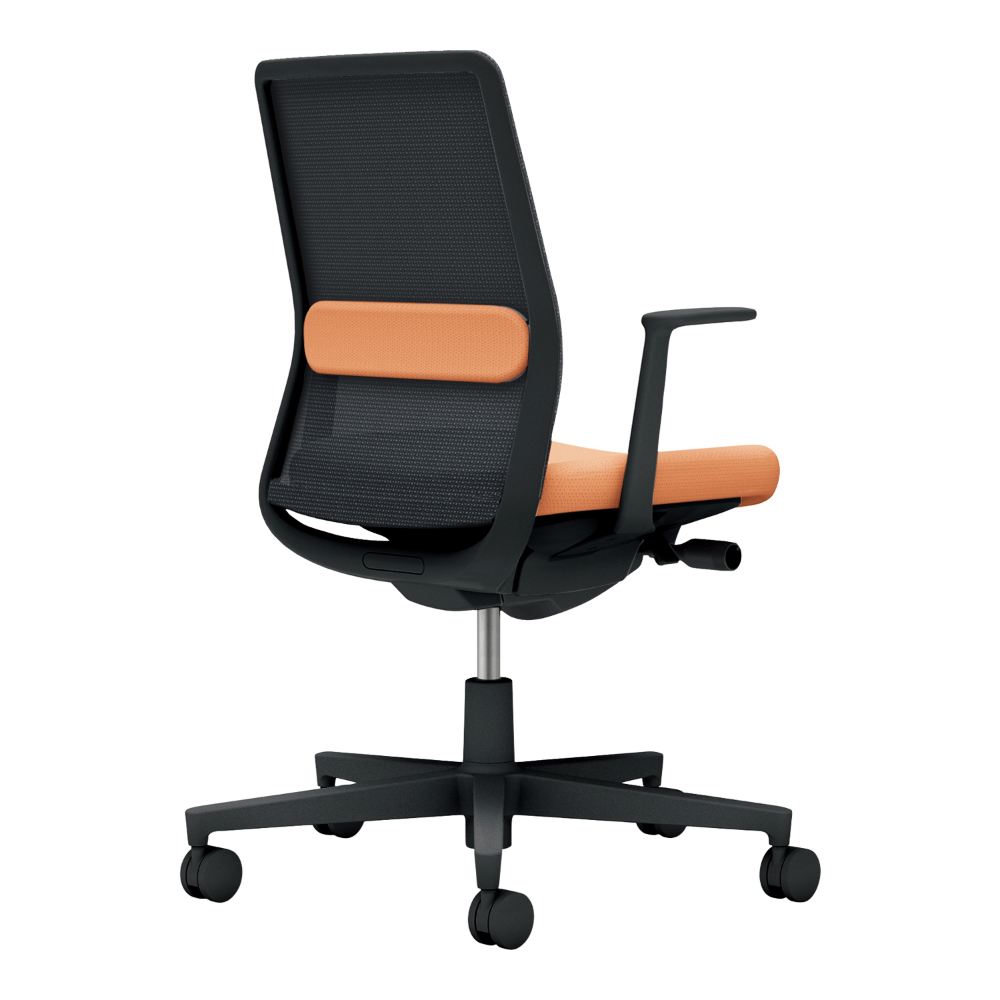 背：ブラック／座・ランバー： ペールテラコッタ