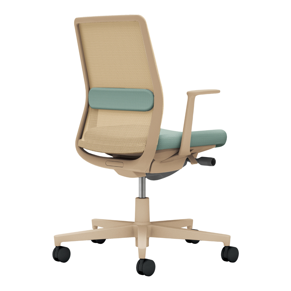 背：ソフトベージュ／座・ランバー： アッシュターコイズ