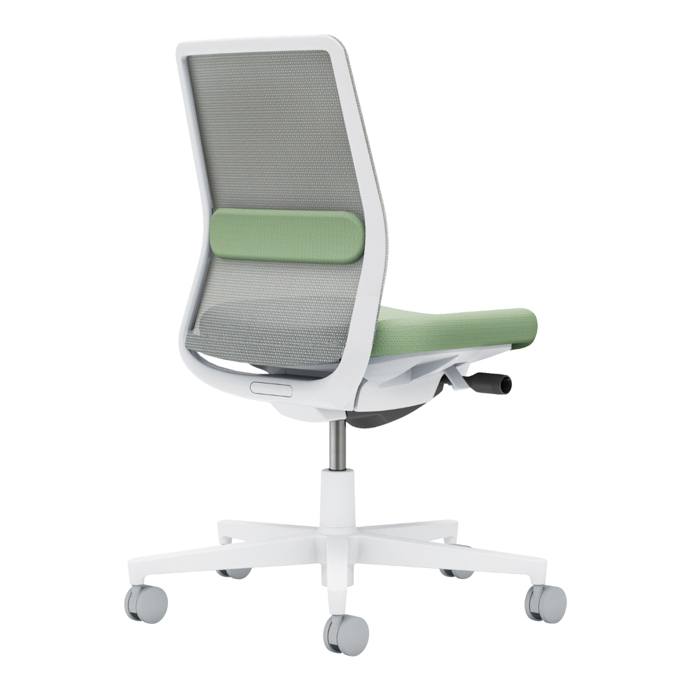 背：ライトグレー／座・ランバー： パウダーミント