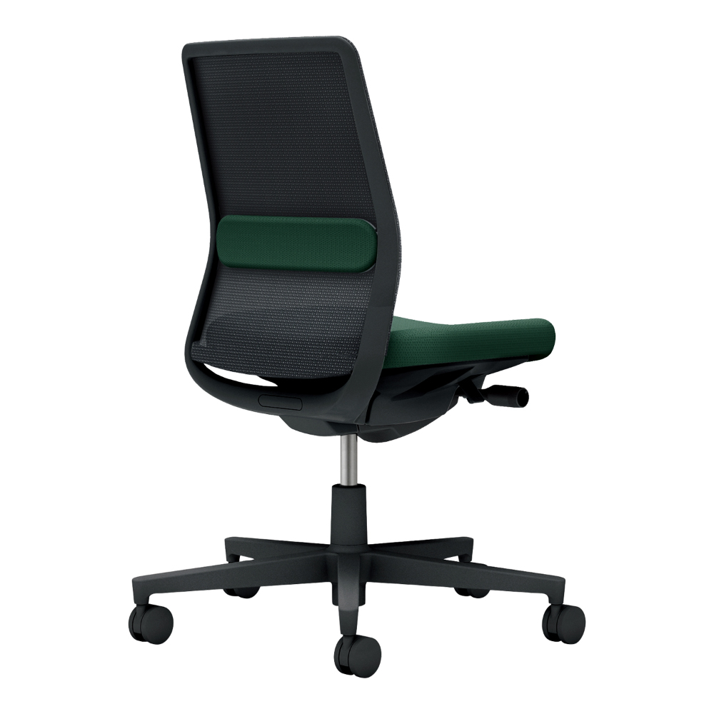 背：ブラック／座・ランバー： ディープグリーン