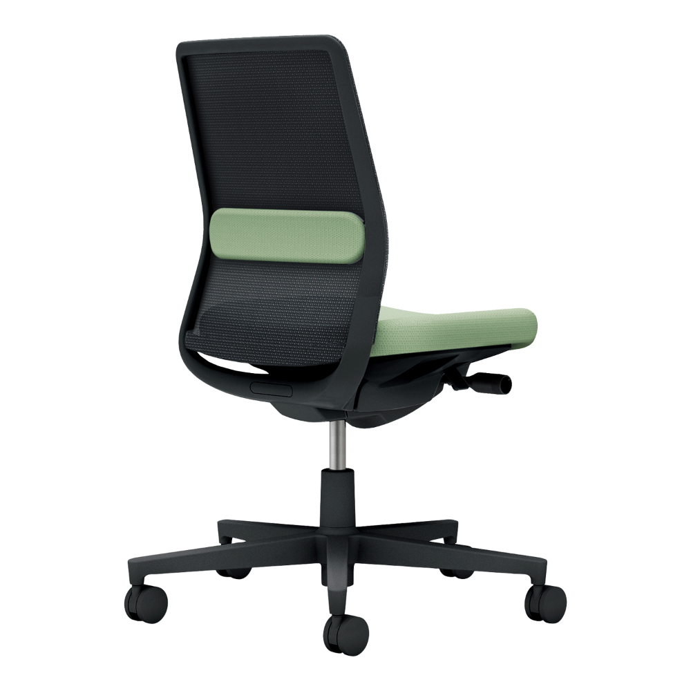 背：ブラック／座・ランバー： パウダーミント