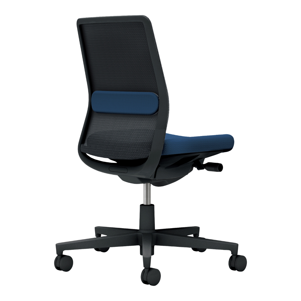 背：ブラック／座・ランバー： ネイビー