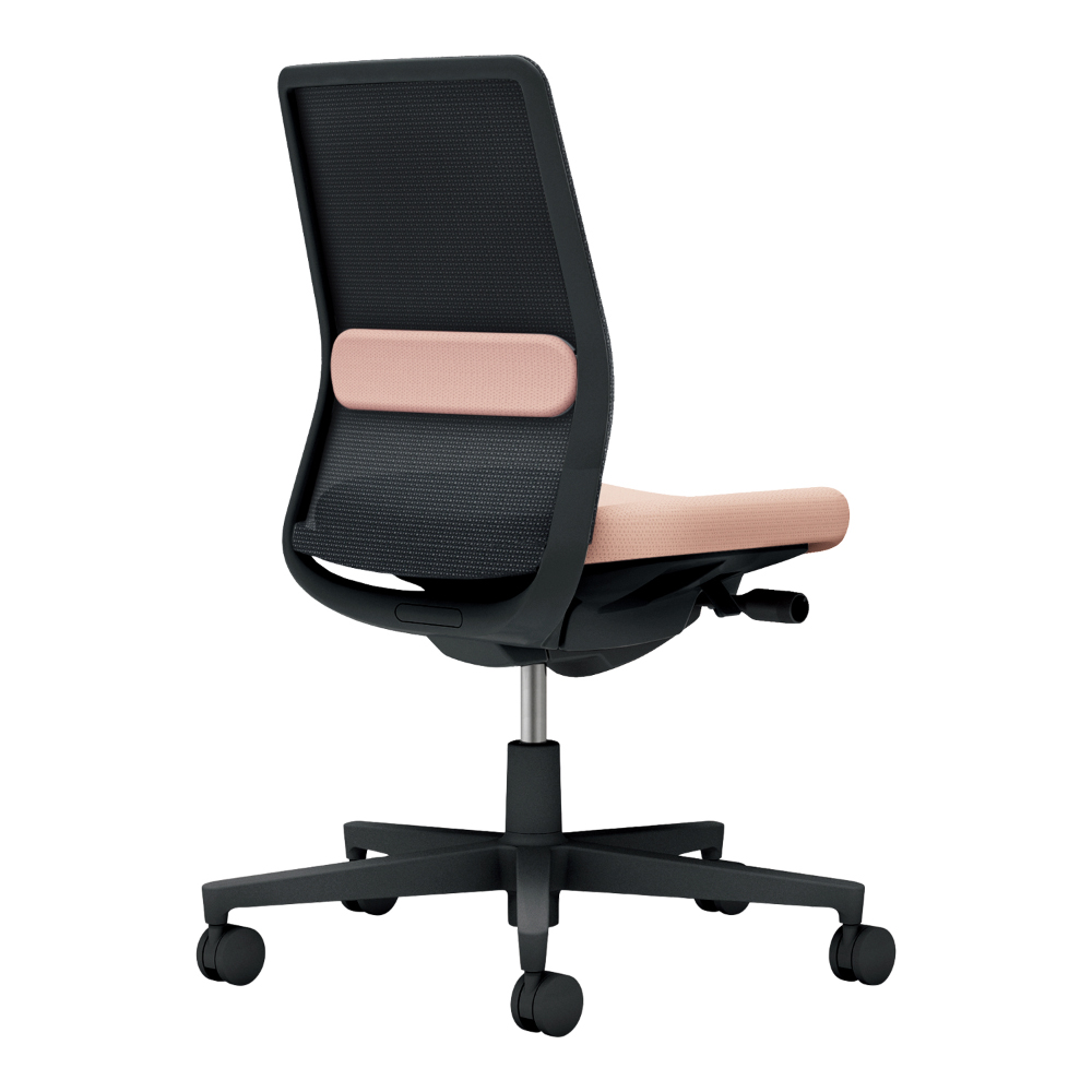 背：ブラック／座・ランバー： アッシュピンク