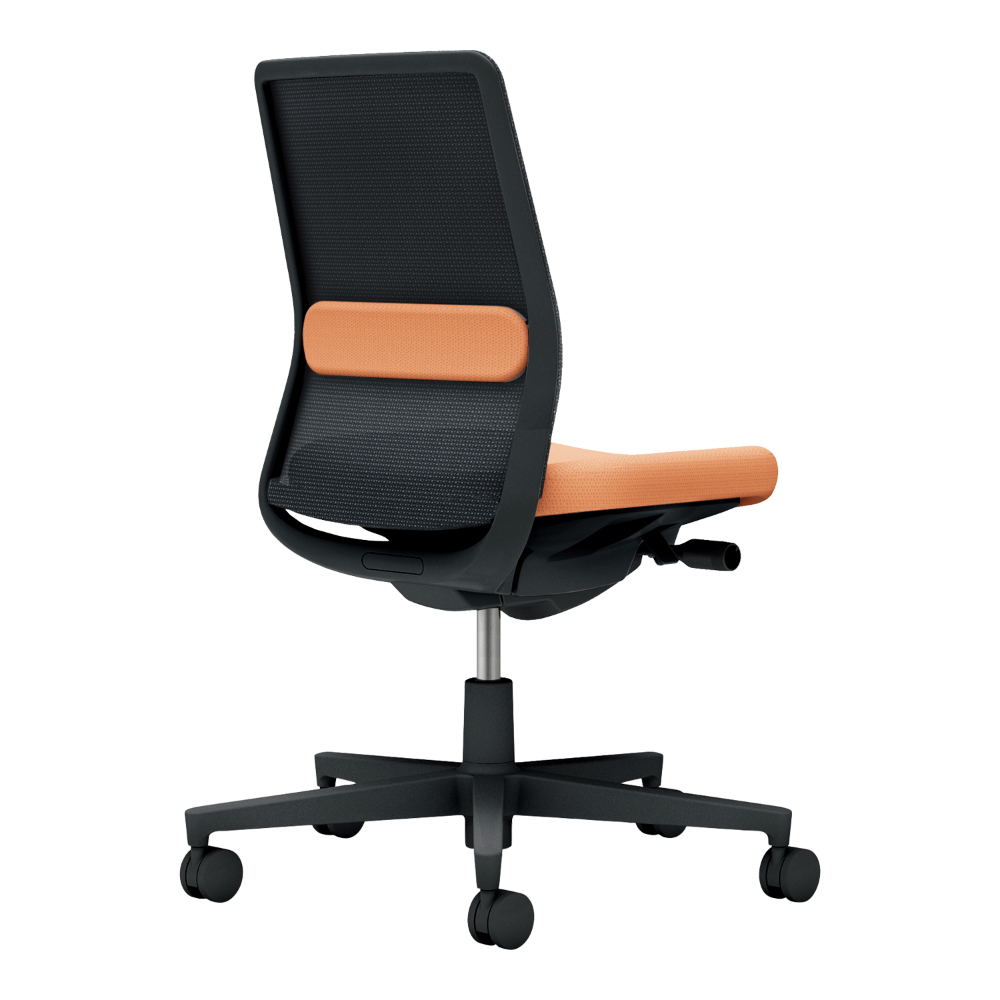 背：ブラック／座・ランバー： ペールテラコッタ