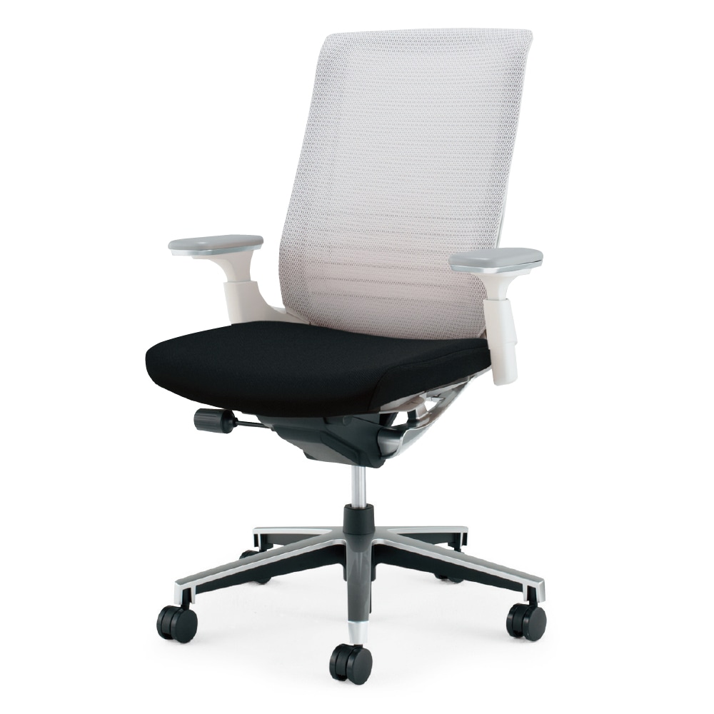 ホワイトグレーフレーム×座ブラック