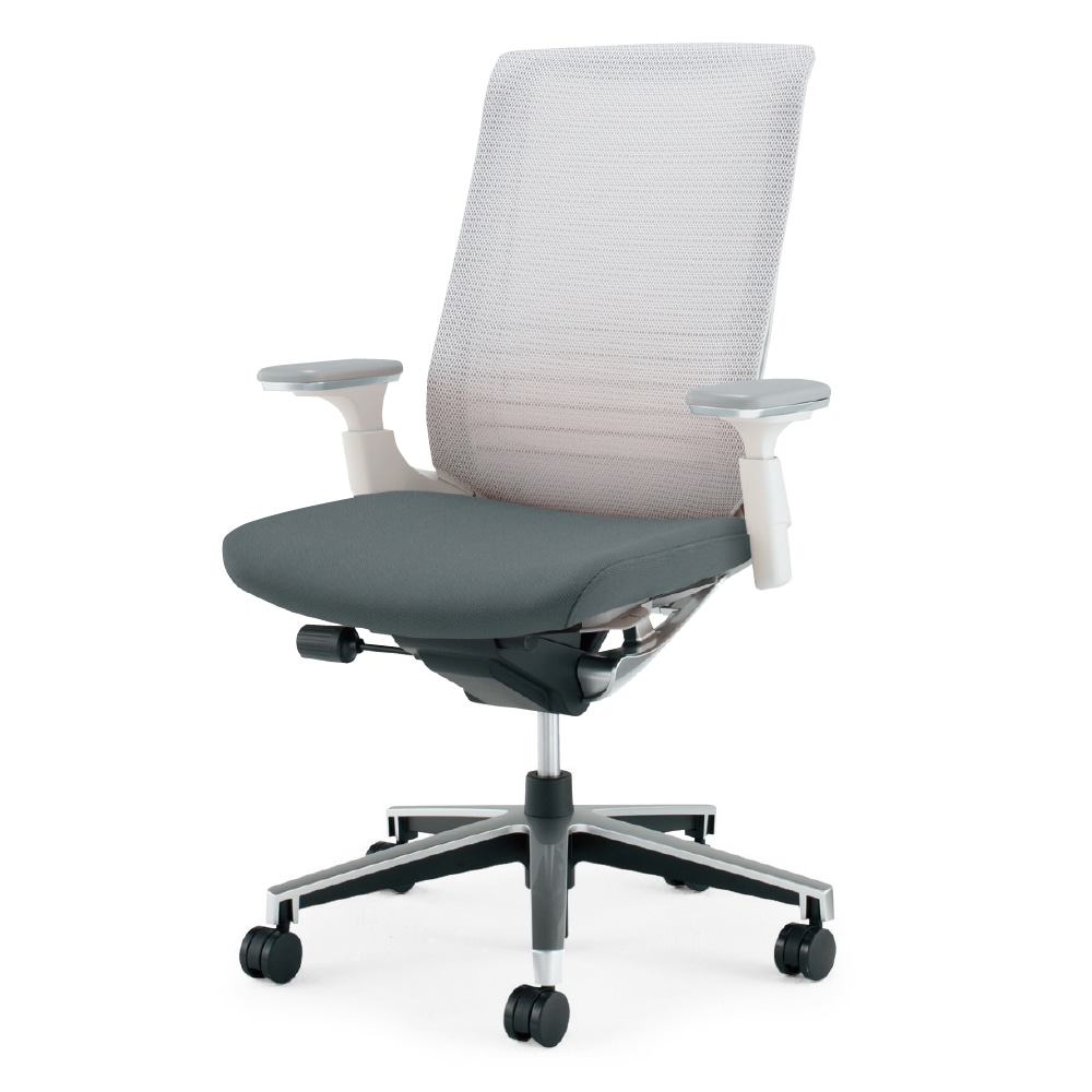 ホワイトグレーフレーム×座ダルグレー