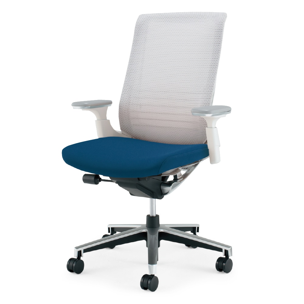 ホワイトグレーフレーム×座インディゴブルー