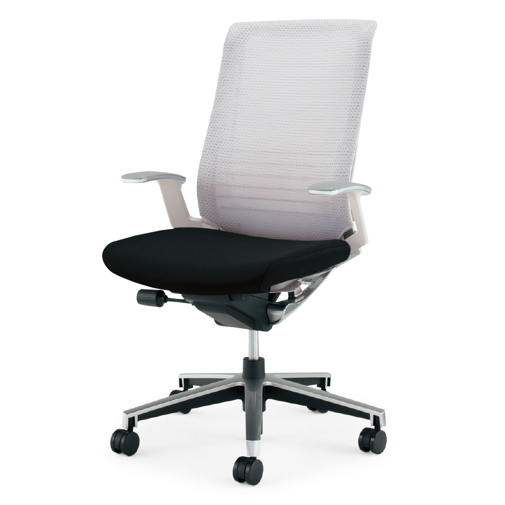 ホワイトグレーフレーム×座ブラック