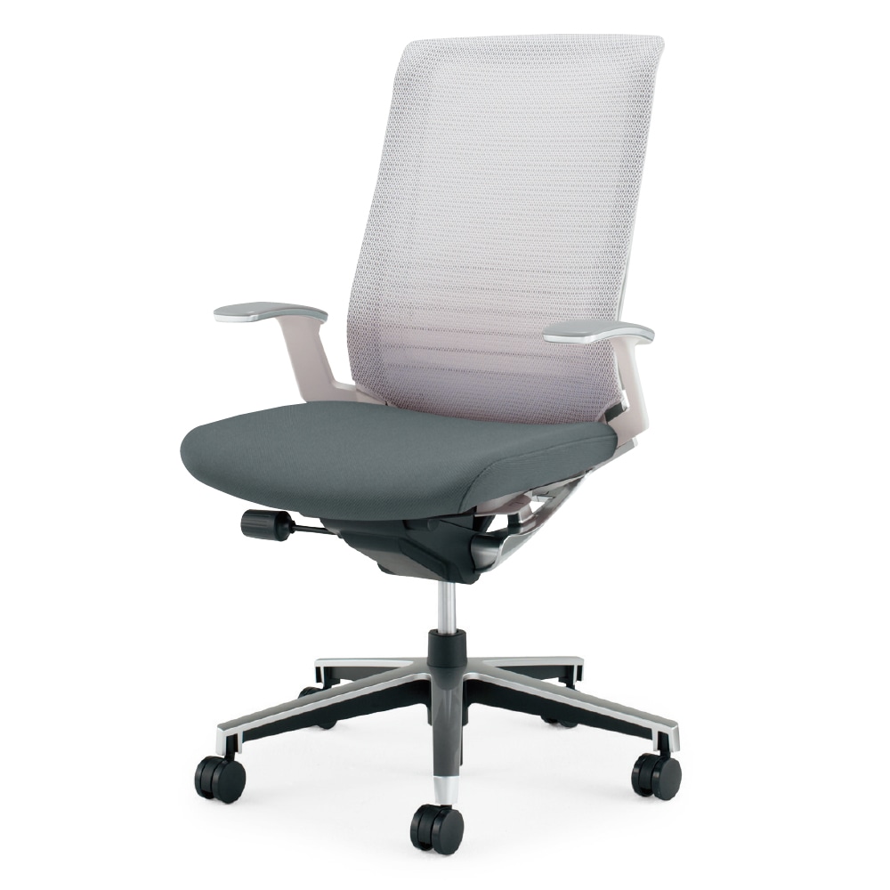 ホワイトグレーフレーム×座ダルグレー