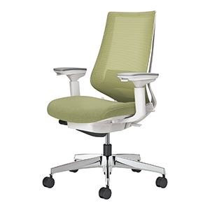 Duora2 デュオラ2/メッシュタイプ/ハイバック/可動肘/ランバーサポートあり/本体ホワイトグレー/アルミポリッシュ脚/グラスグリーン/カーペット用キャスター