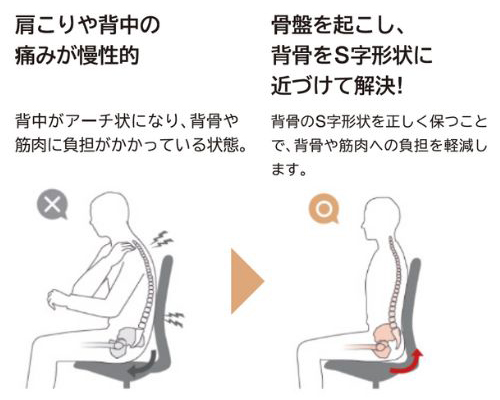 1-1．座り姿勢は立ち姿勢よりも、背骨が「アーチ状」になりやすいから